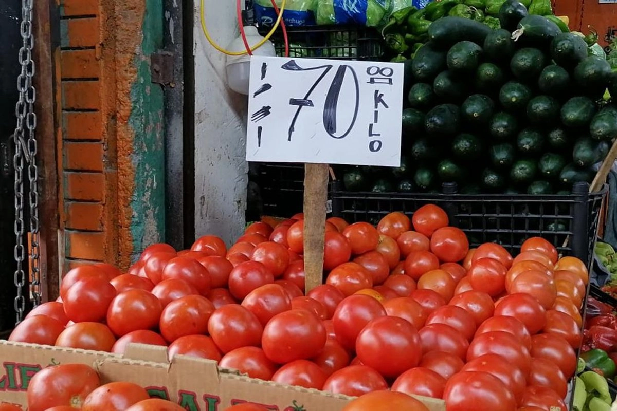 consumidores-pagan-hasta-tres-veces-mas-por-kilo-de-jitomate-de-lo-que-recibe-el-agricultor_967bccb2-3474-42d0-817d-f5986368c370_medialjnimgndimage=fullsize